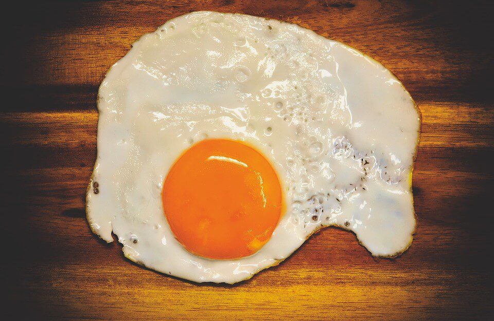 Protein Delicious Fried Food Eat Yolk Egg Yolk 3624925