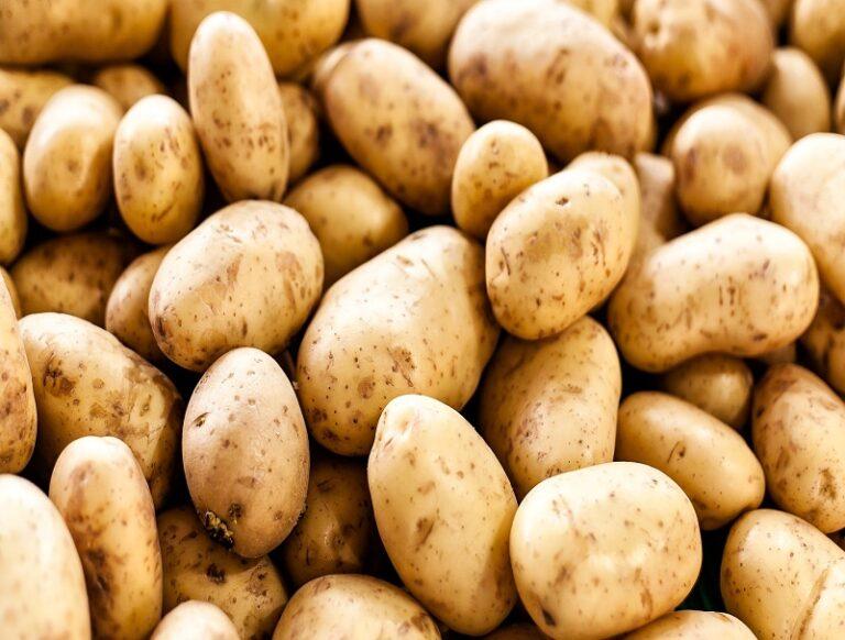What happens if We eat potato Daily | Benefits & Side Effects