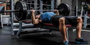 BuildMuscle LoseFat