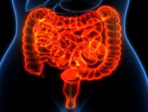 Best Ways to Improve Your Digestion Naturally