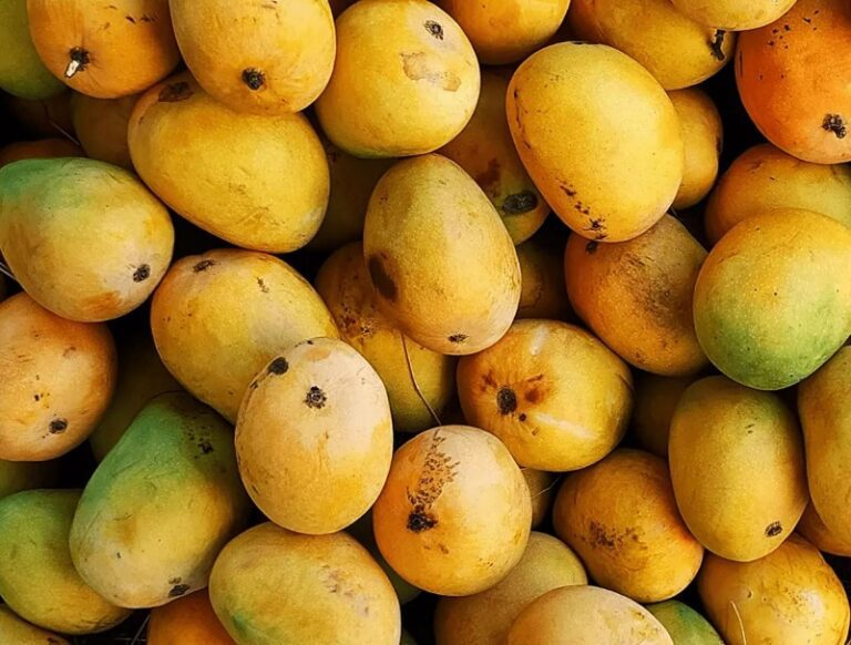 Healthy Reasons to Eat Mangoes