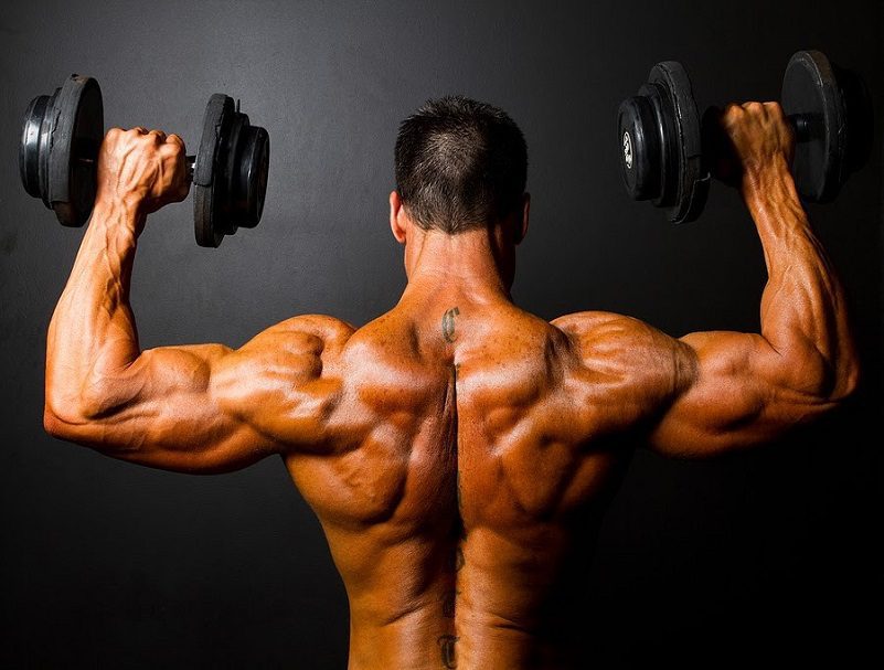 best-testosterone-booster-for-muscle-gain