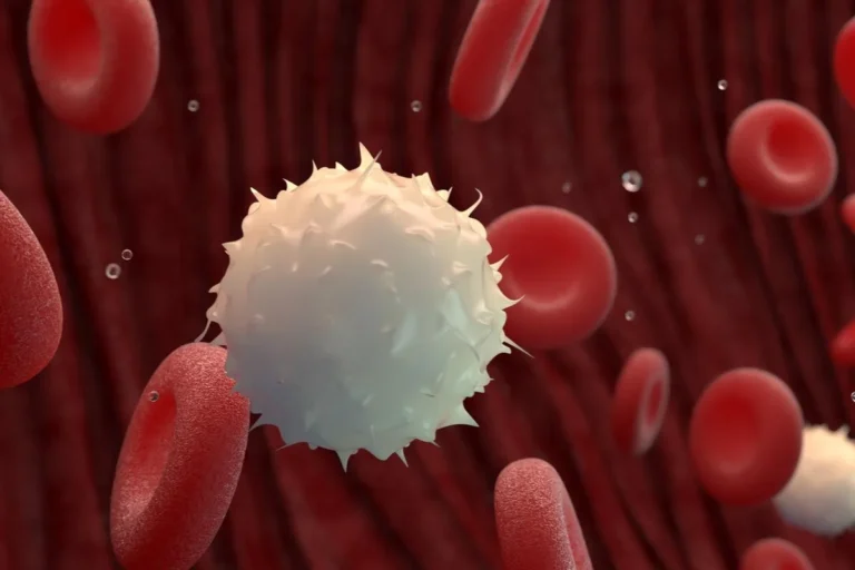 6 Easy Ways To Increase White Blood Cell Count