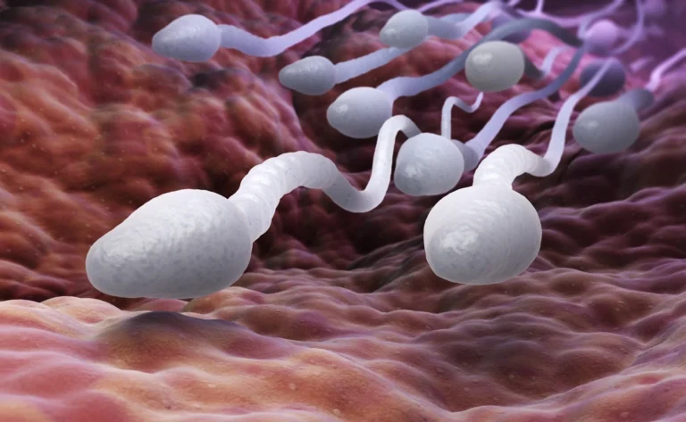 What happens If We release Sperm Daily